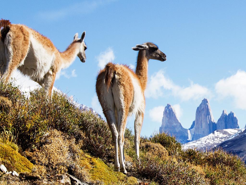 Noi Indigo Patagonia Hotel Puerto Natales Kültér fotó